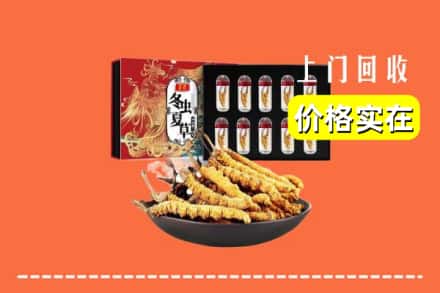 定西市安定回收冬虫夏草